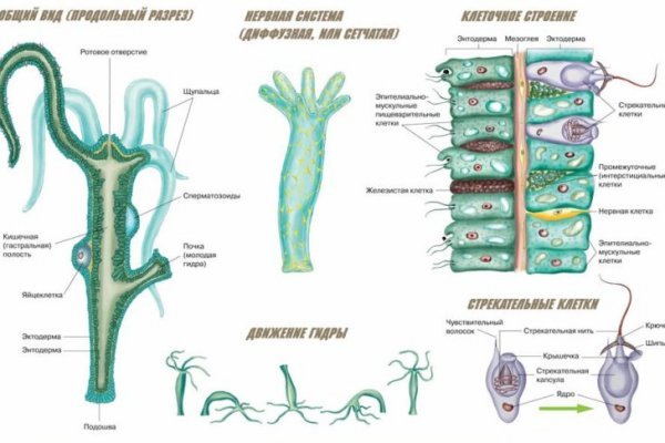 Официальный сайт кракен kraken