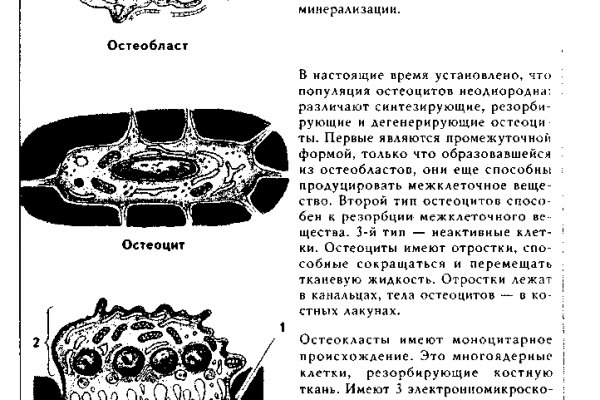 Ссылки мега кракен