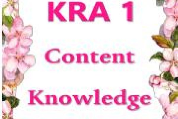 Kraken 24 at